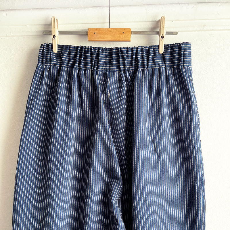 Jants Pants Navy Cotton Pin Stripe